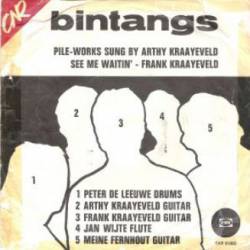 Bintangs : Pileworks - See Me Waiting Girl